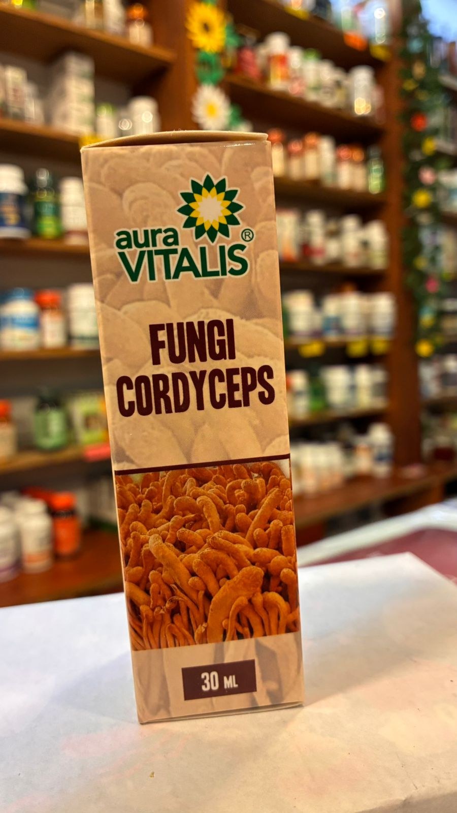 Cordyceps