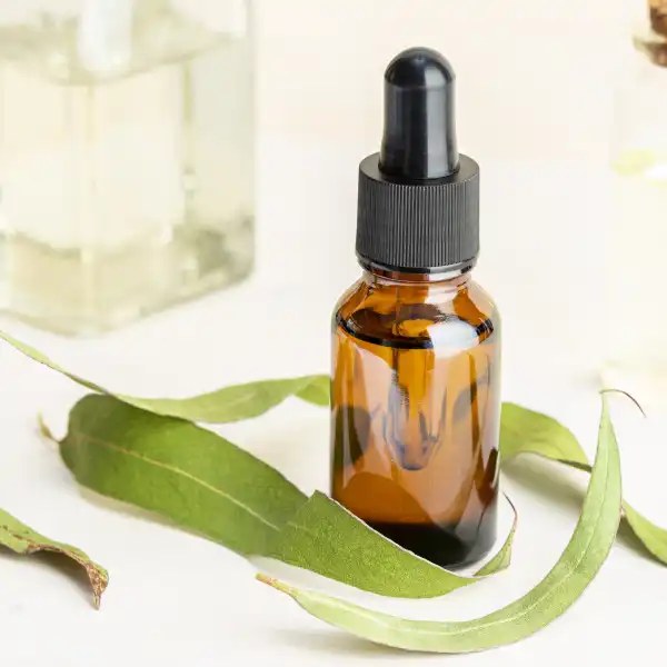 Aceite Esencial de Eucalipto 10 ml