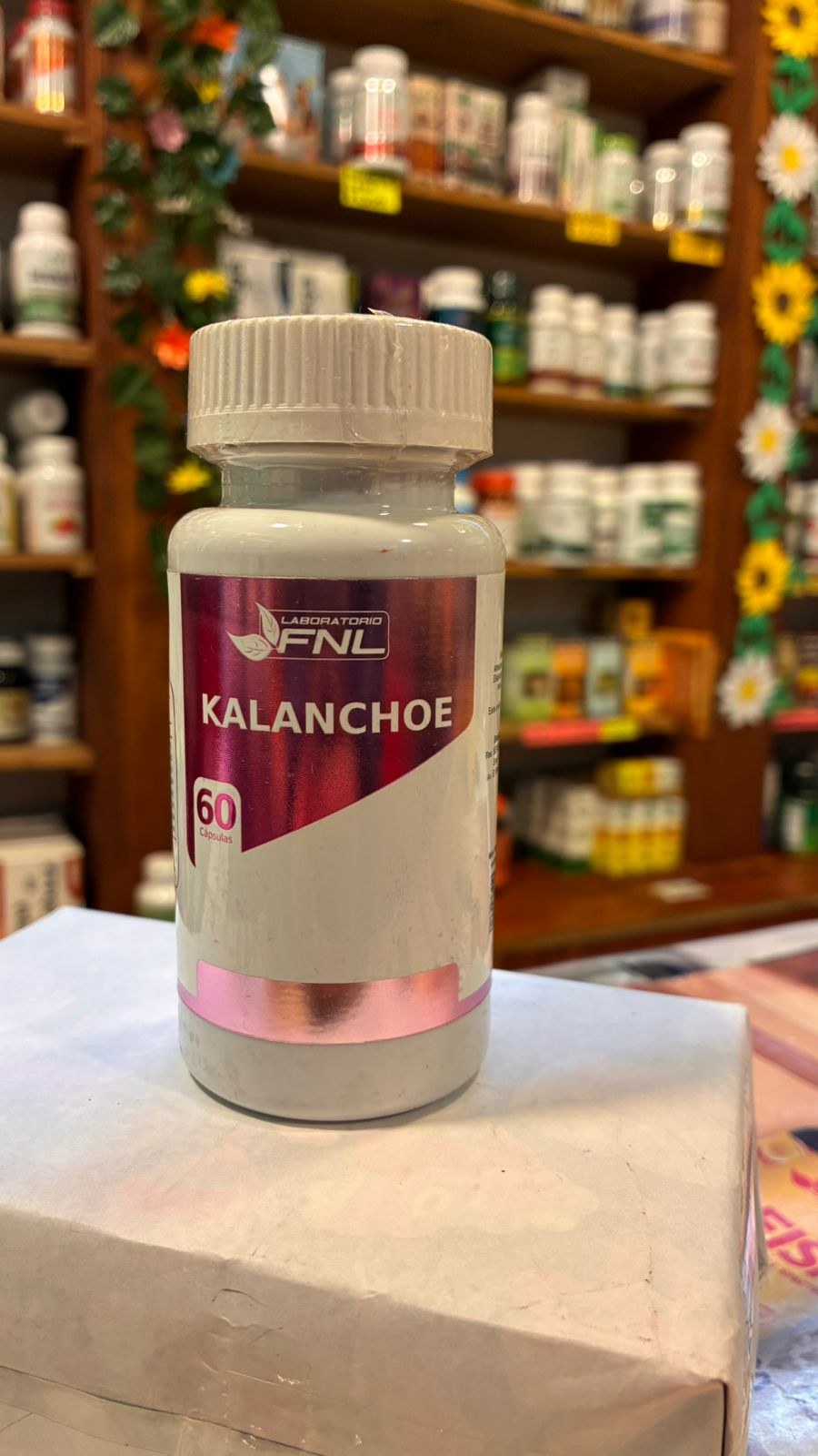 Kalanchoe