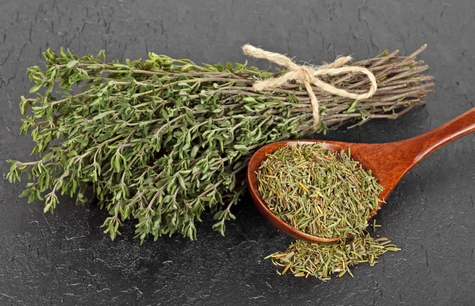 Tomillo Medicinal